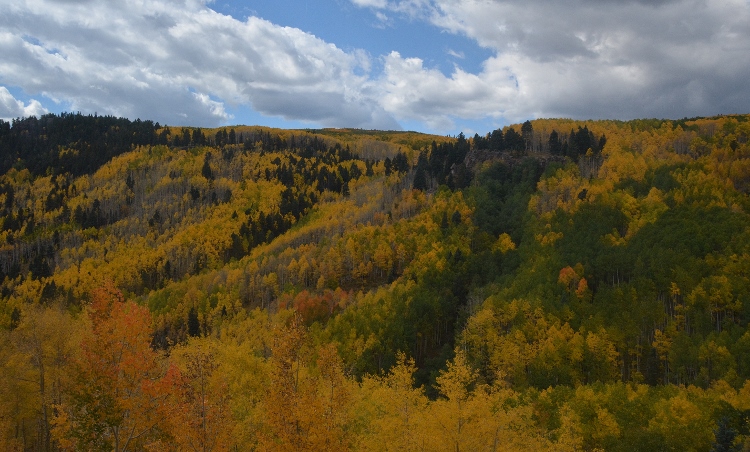 train through autumn colors